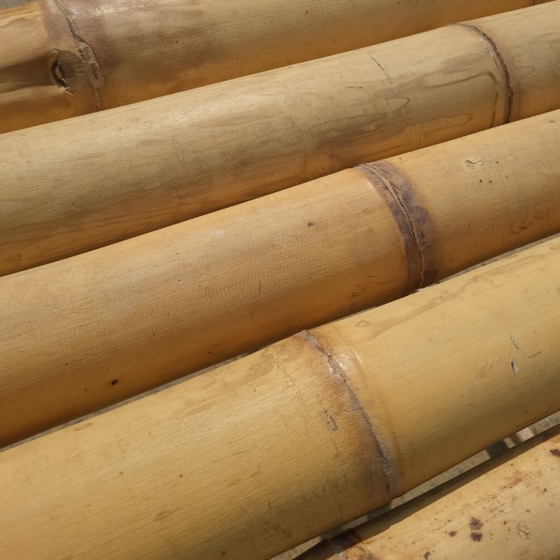 Construction en bambou