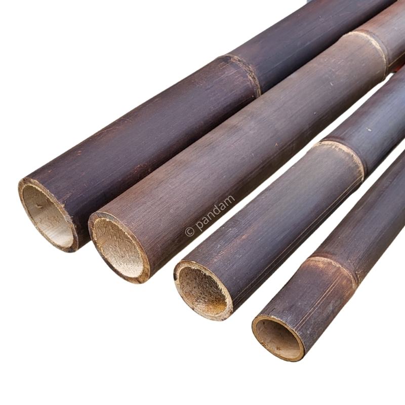 Tige de bambou noire - marron 1 à 4 mètres