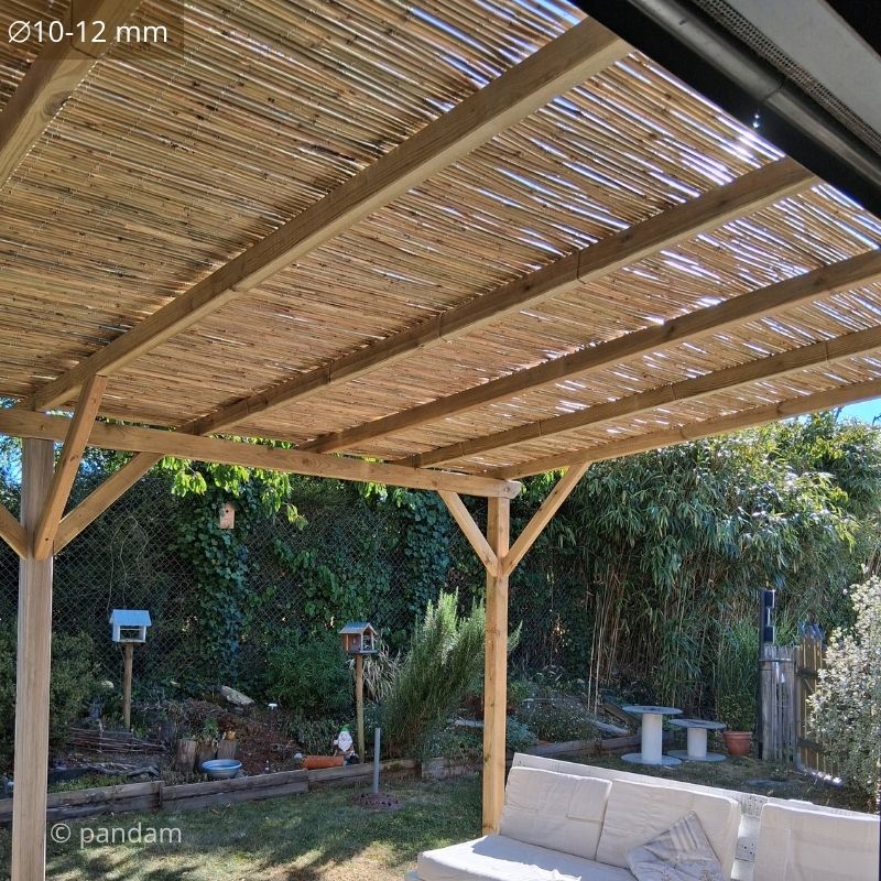 Canisse en bambou pour toit de pergola