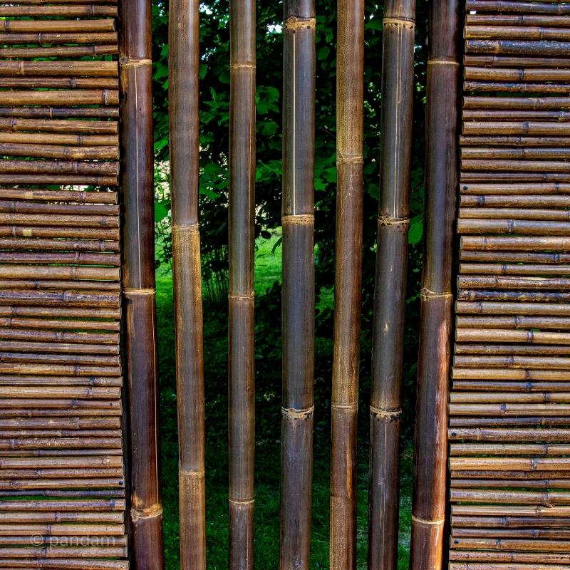 Tige de bambou noire - marron 1 à 4 mètres