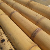 Bambou de construction