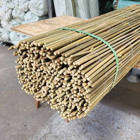 canisse en bambou entier