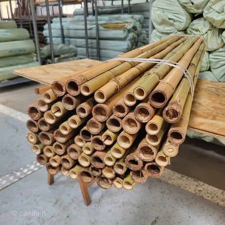 Canisse en bambou de gros diamètre