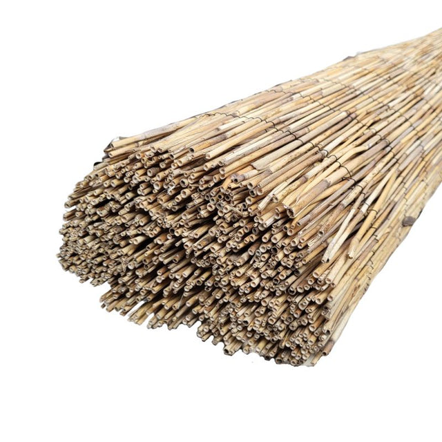 Canisse en paille
