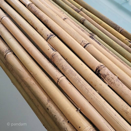 Cloture en bambou 150 cm