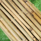 Cloture bambou tonkin 20-28 mm