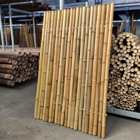 panneau en bambou naturel pour le jardin