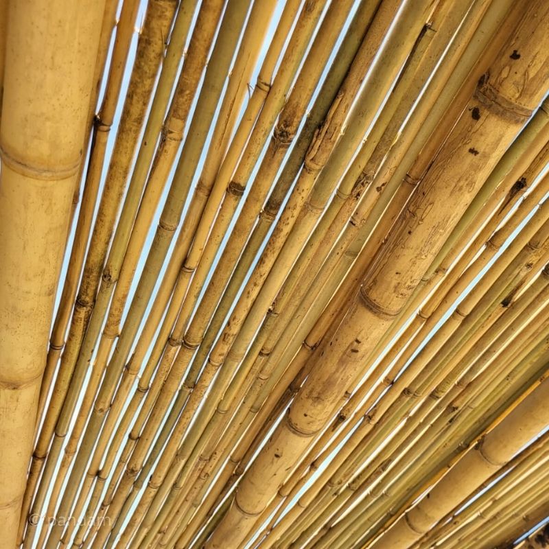 Pergola en bambou avec toit en canisse