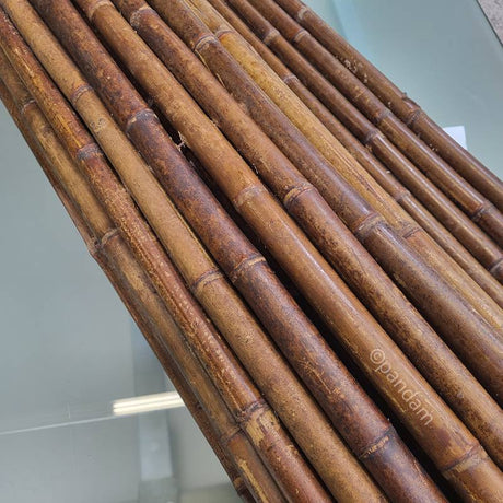 Clôture en Bambou Brise Vue Noire