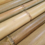 Tige de bambou Moso gros diamètre