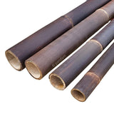 Tige de bambou noire - marron 1 à 4 mètres