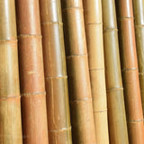 Tige de bambou avec traitement naturel