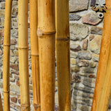 paravent bambou terrasse